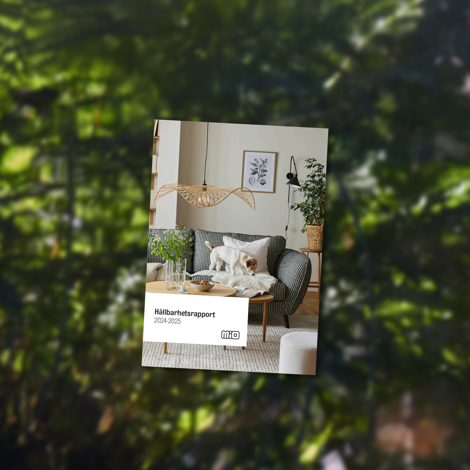 Framsida på broschyr märkt Hållbarhetsrapport på suddig bakgrund i grönt