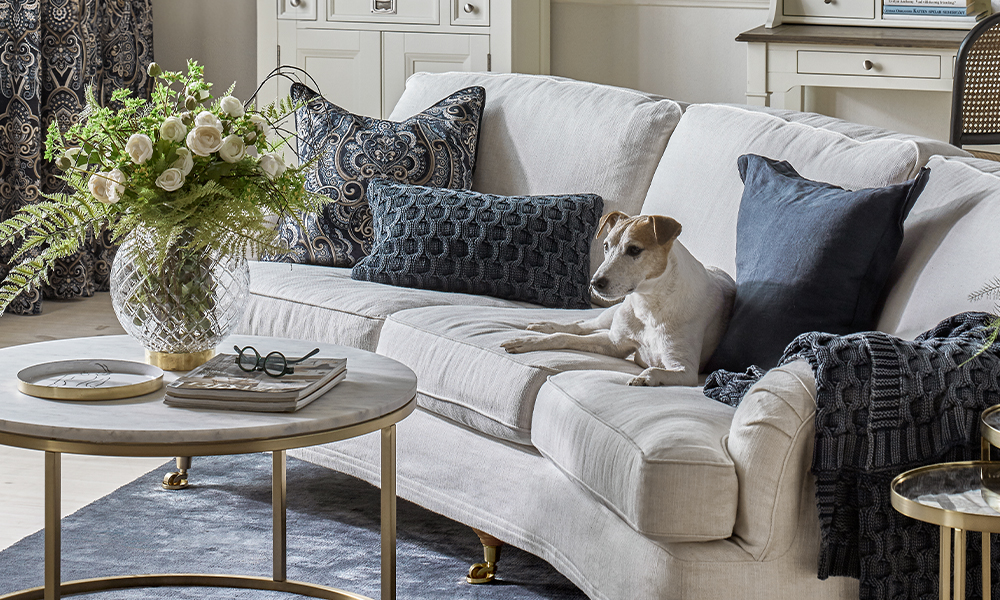 I en beige soffa med blåa kuddar ligger en hund