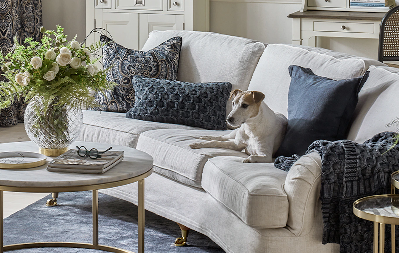 I en beige soffa med blåa kuddar ligger en hund