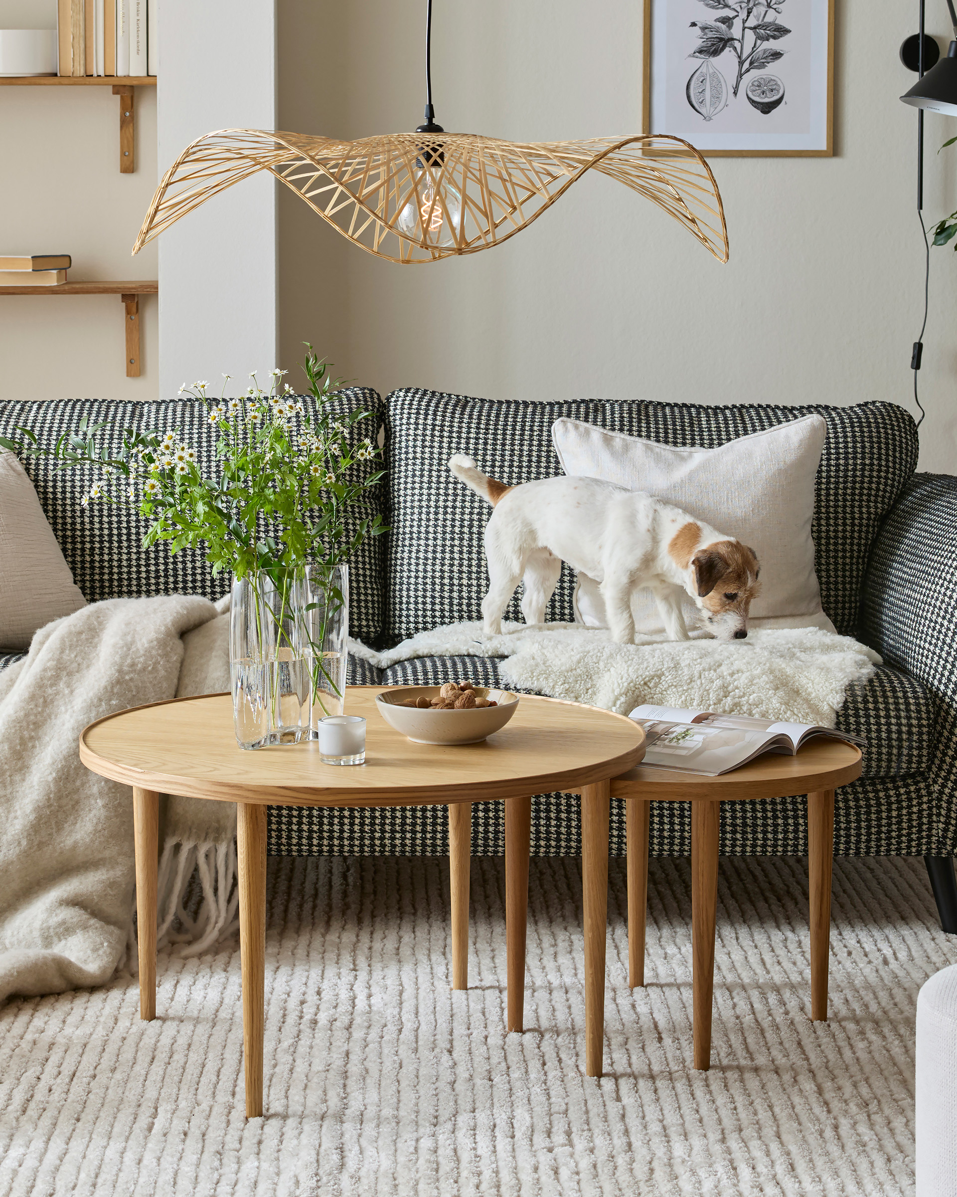 två runda soffbord i trä står framför en soffa som det står en hund i
