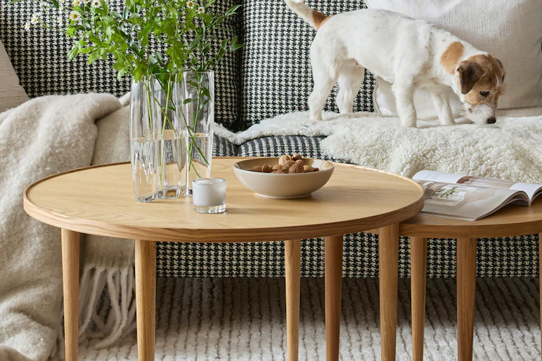 två runda soffbord i trä står framför en soffa som det står en hund i