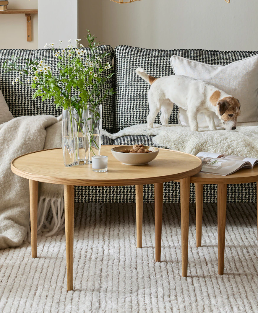 två runda soffbord i trä står framför en soffa som det står en hund i
