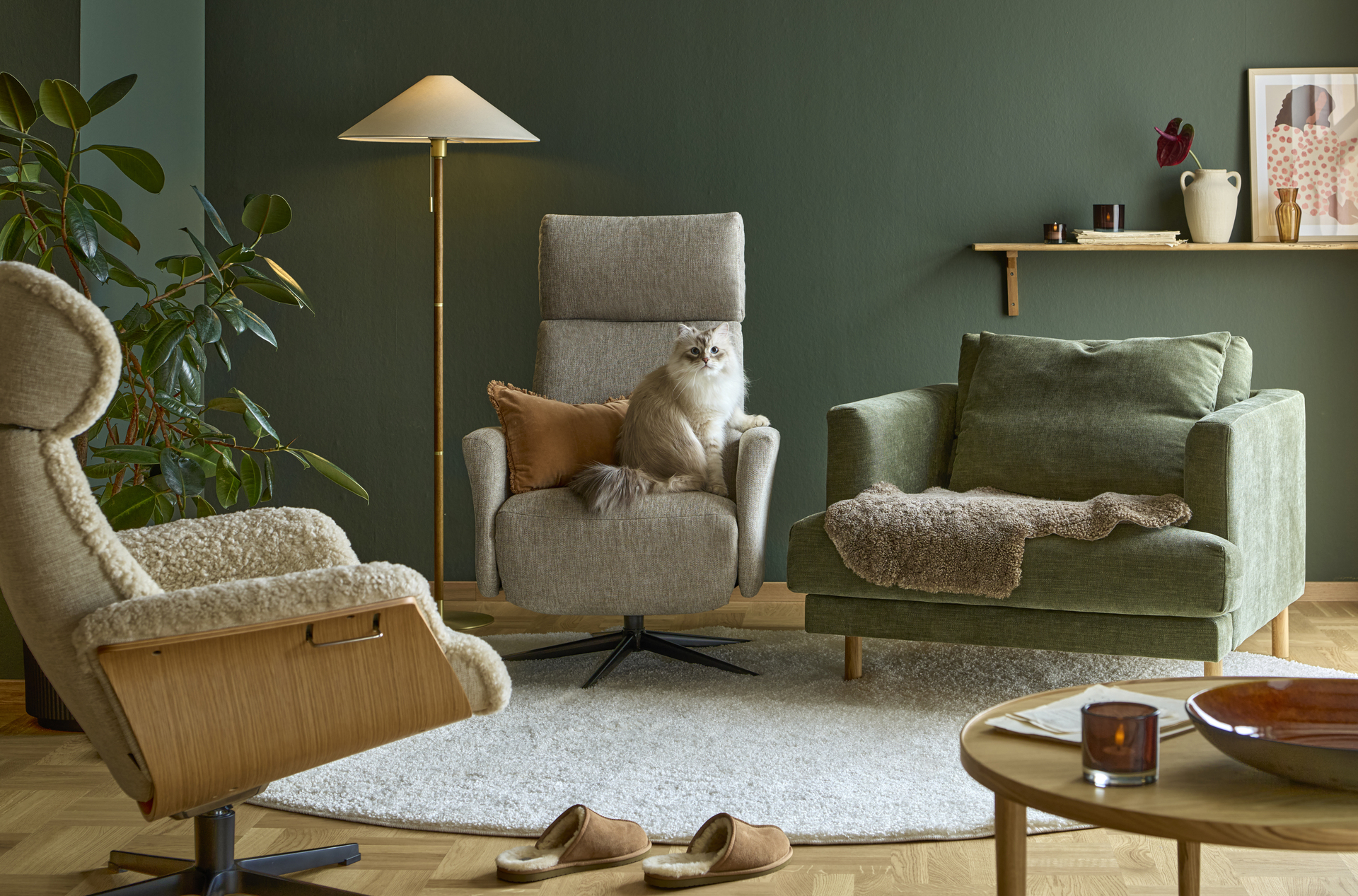 I ett grönt rum står tre fåtöljer, i den beiga fåtöljen i mitten sitter en katt