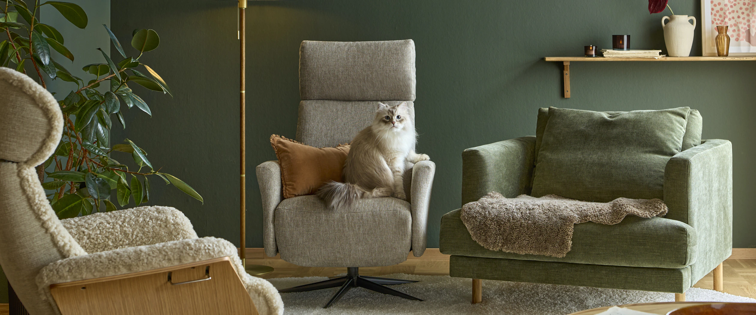 I ett grönt rum står tre fåtöljer, i den beiga fåtöljen i mitten sitter en katt