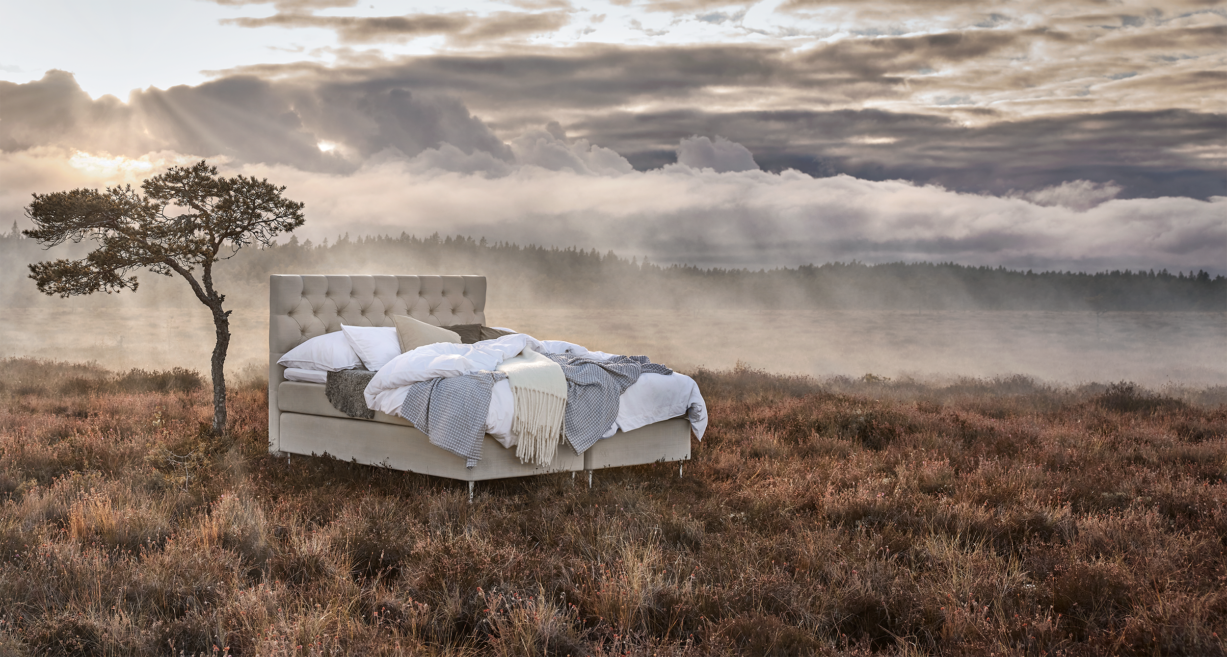 en bäddad grå kontinentalsäng står vid ett träd på en äng