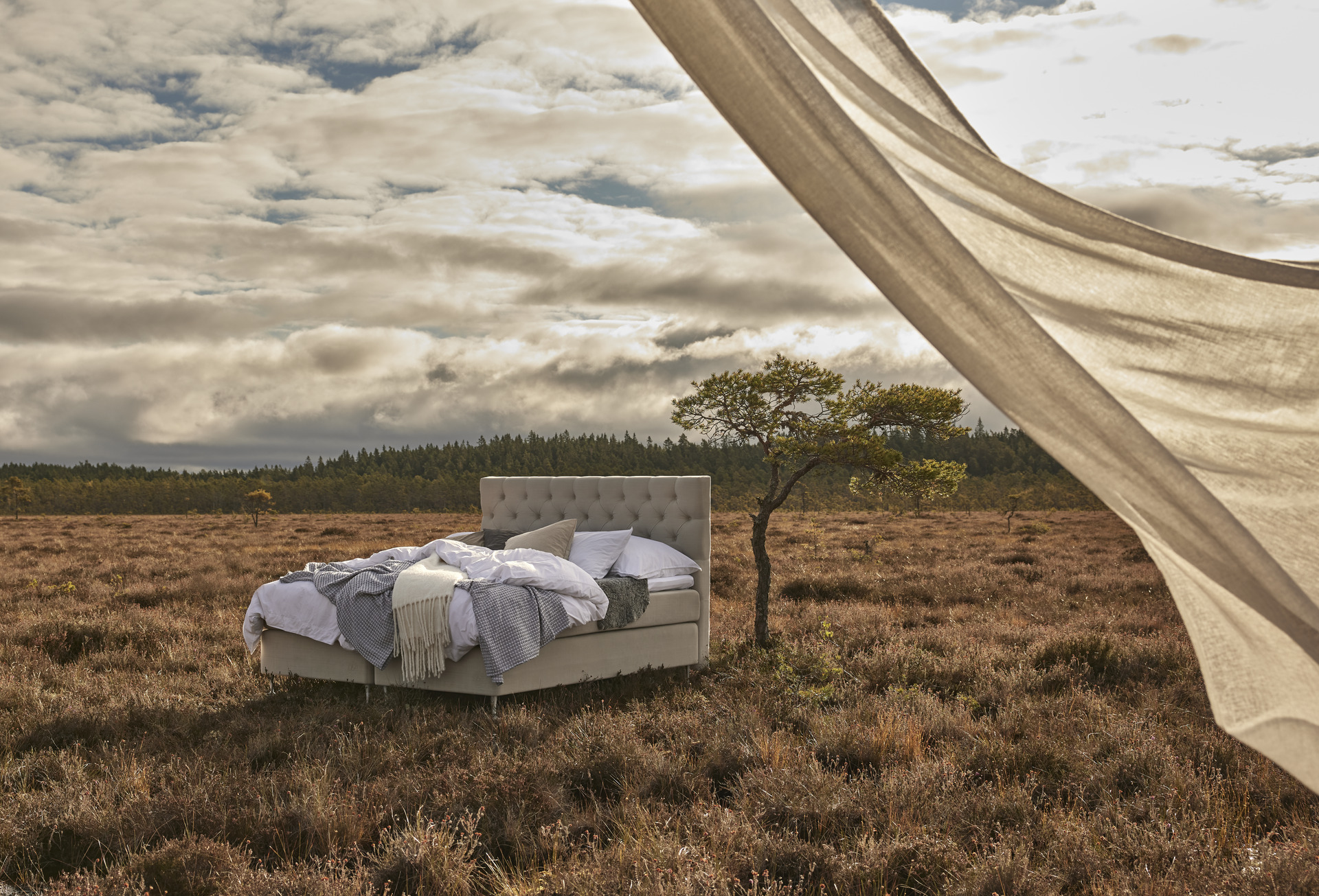 en beige bäddad kontinentalsäng står på en äng