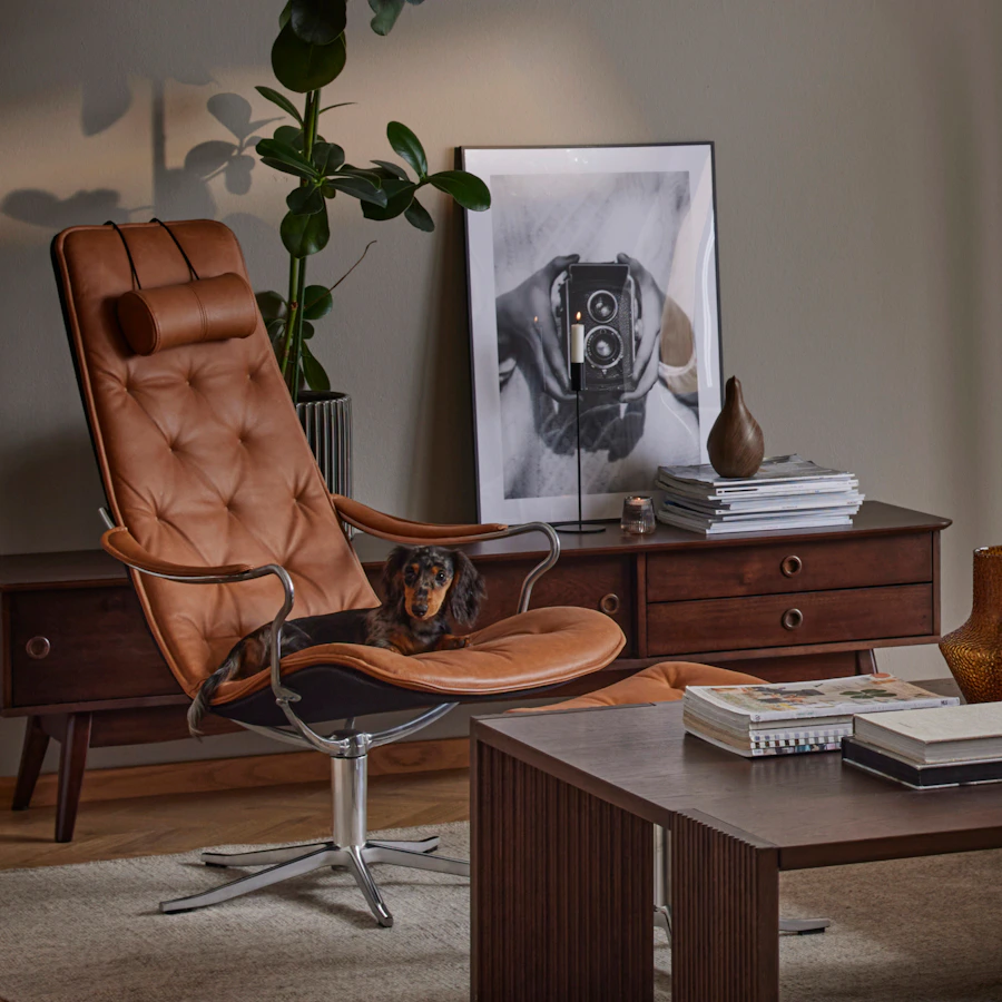 I ett elegant vardagsrum i muriga toner står en brun läderfåtölj, i fåtöljen ligger en tax