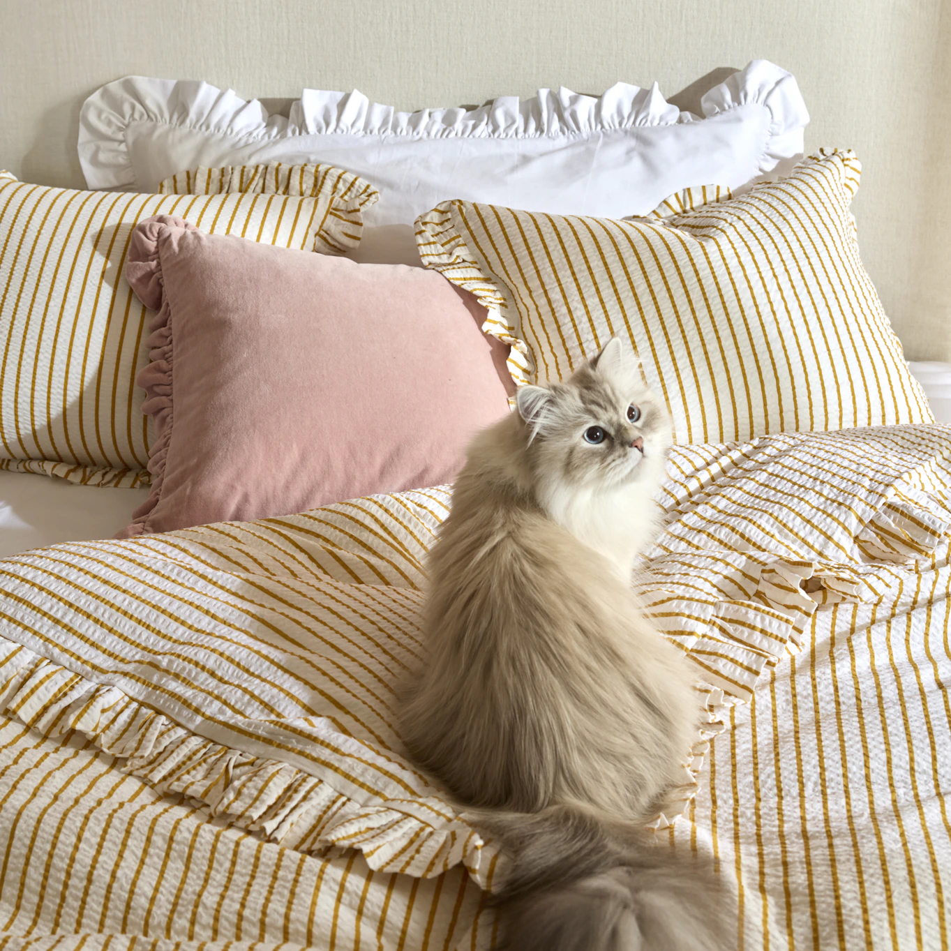 En katt sitter i en säng bäddad med gulrandiga sängkläder och en rosa kudde.