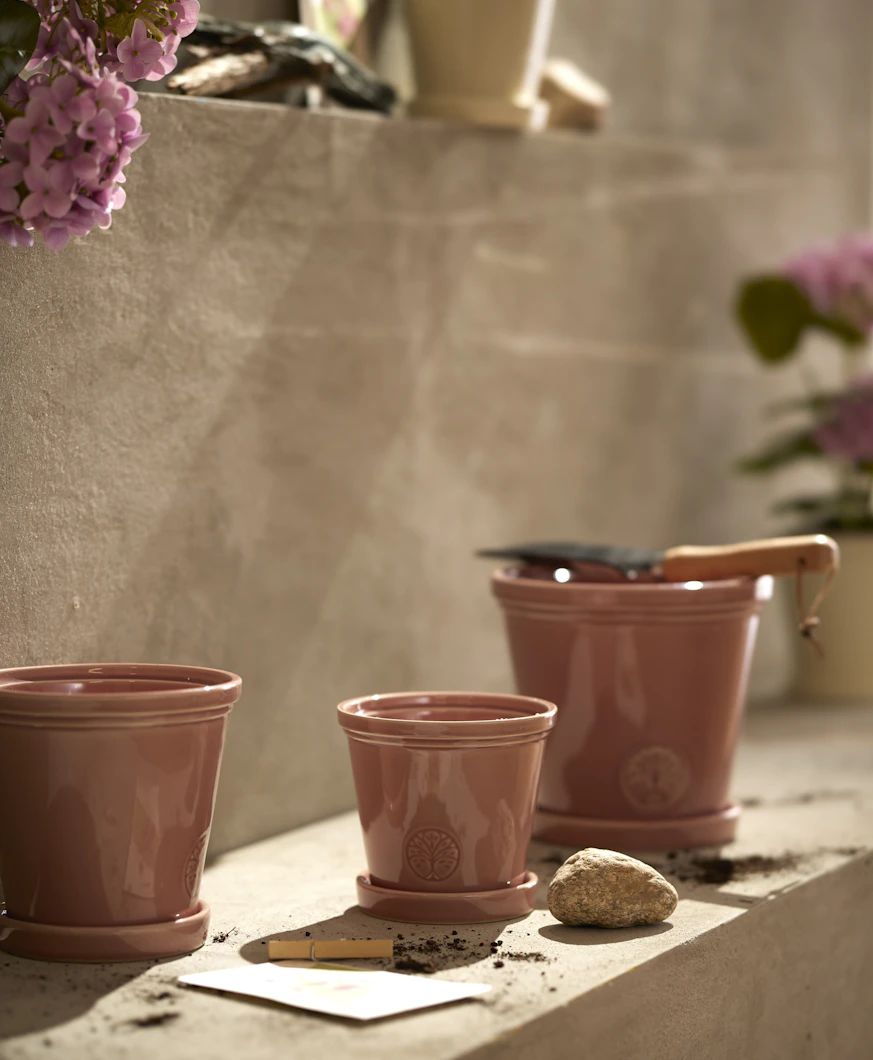 Tre rosa krukor i olika storlekar står framför en beige stenvägg.