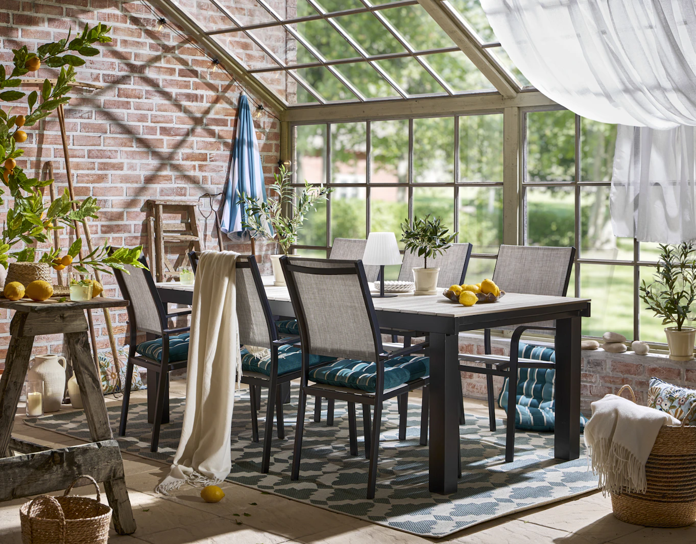 Utematgrupp med bord, sex stolar och blåa dynor står i ett orangeri fullt av växter.