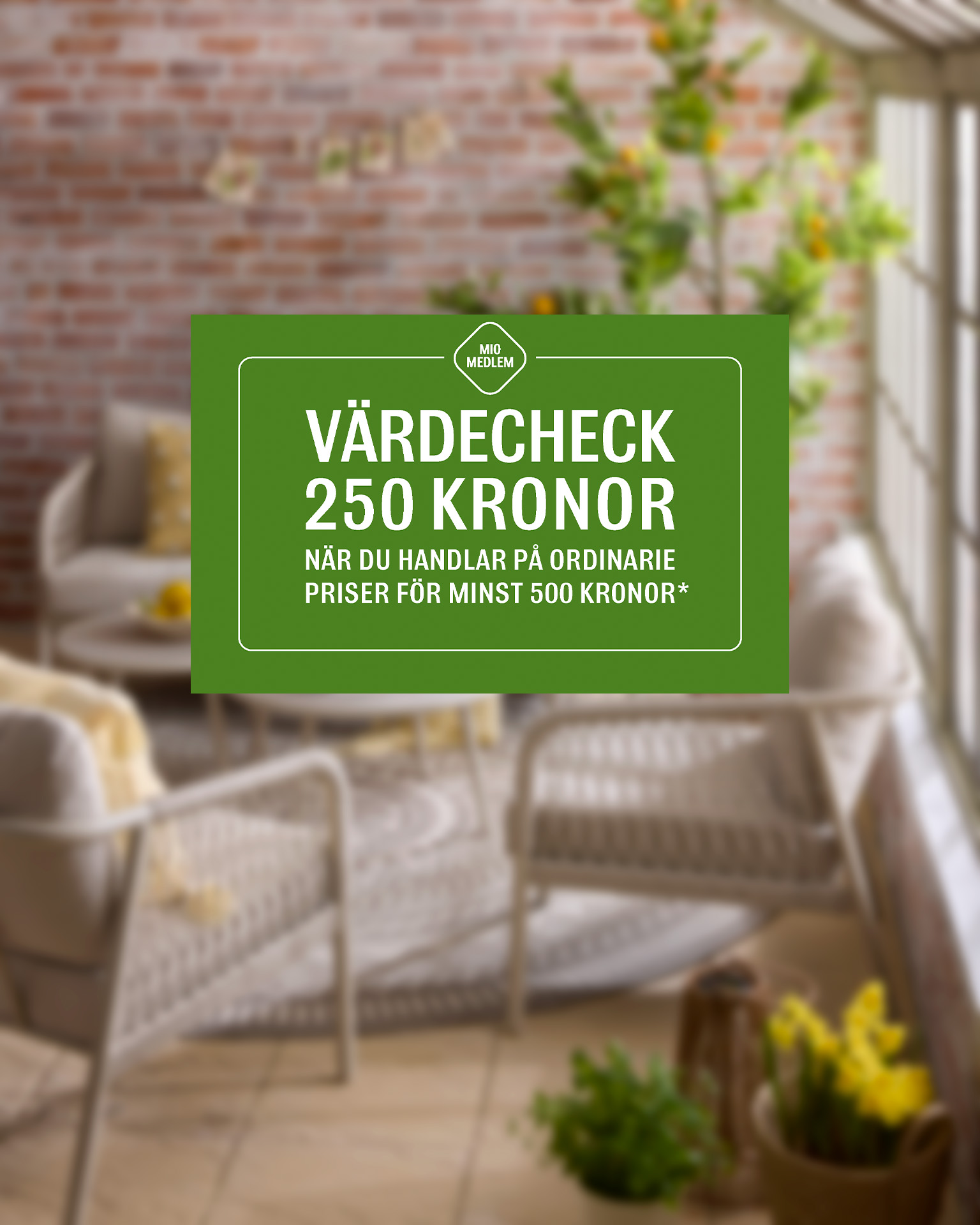 en grön värdecheck där det står att kunden får 250 kronor om den handlar för 500.