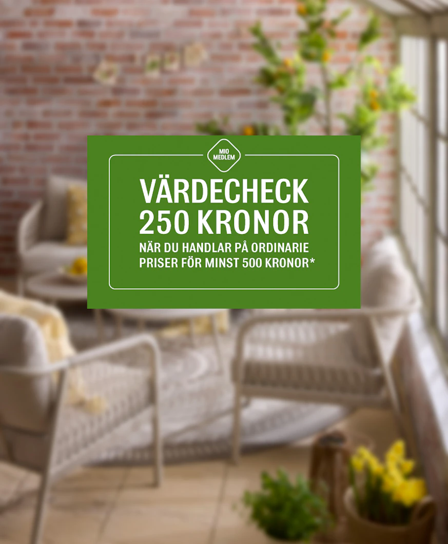 en grön värdecheck där det står att kunden får 250 kronor om den handlar för 500.