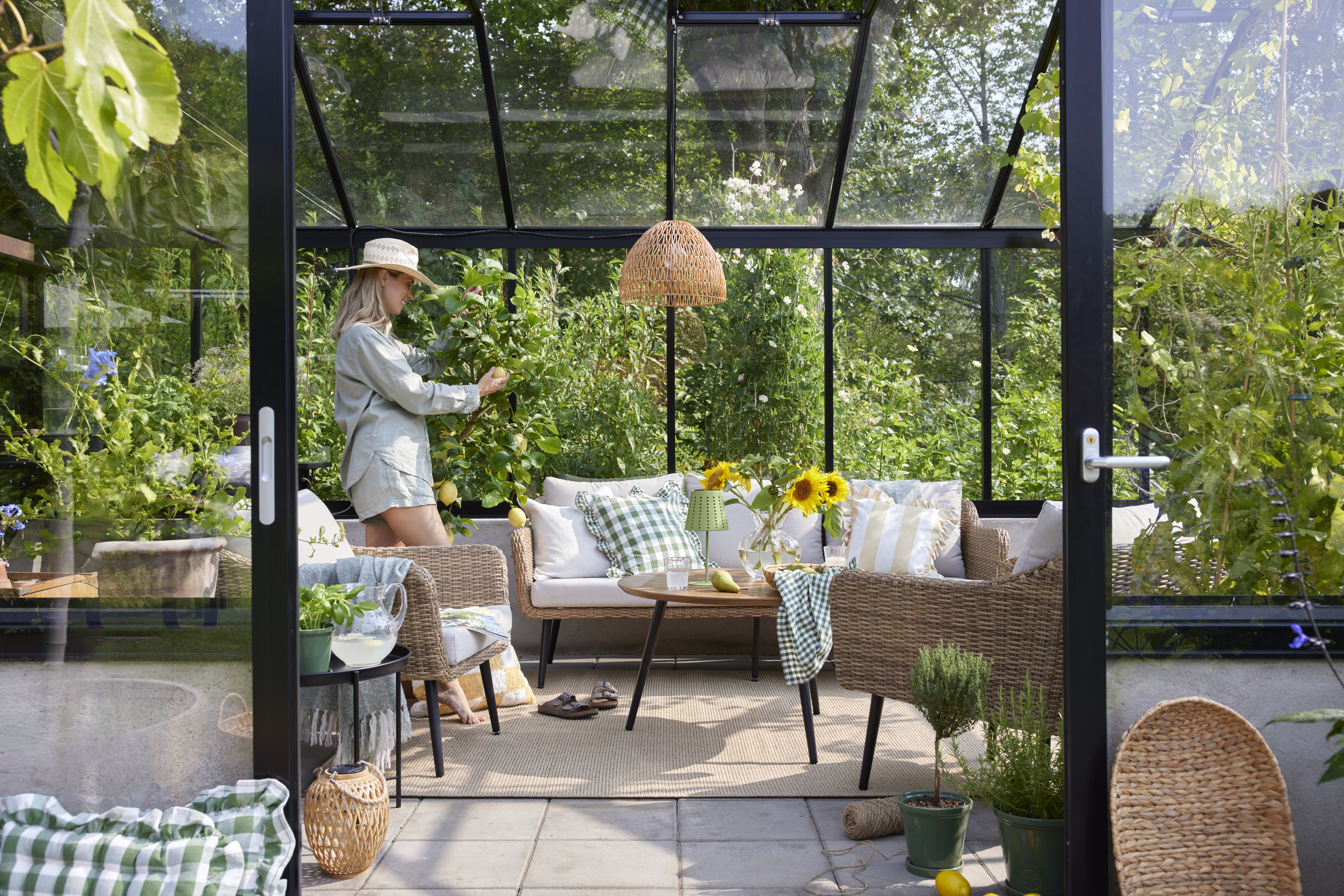 I ett orangeri står en loungegrupp med en soffa och två fåtöljer i konstgjord rotting. Bredvid gruppen står en kvinna och plockar en frukt från ett träd