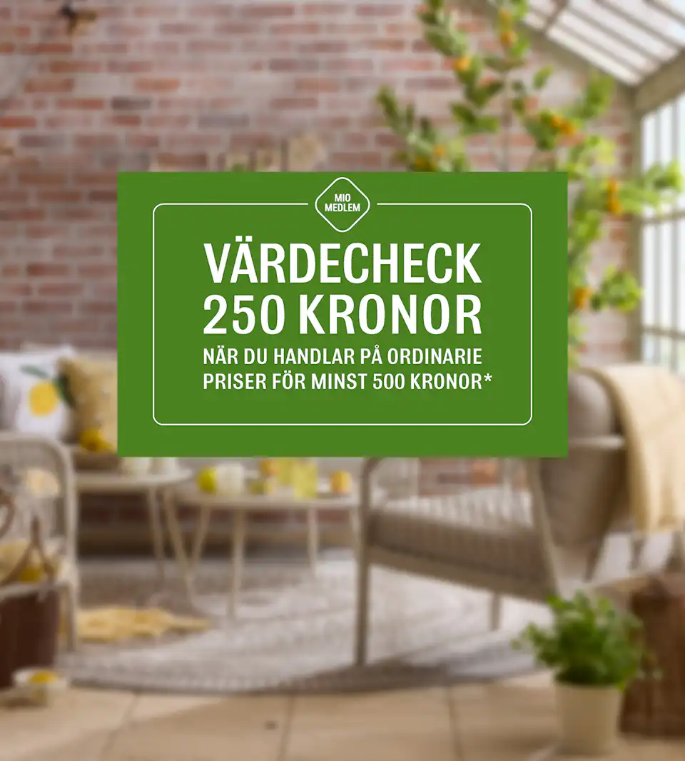 En bild som visar en grön värdecheck där kunden får 250 kronor när den handlar för 500.