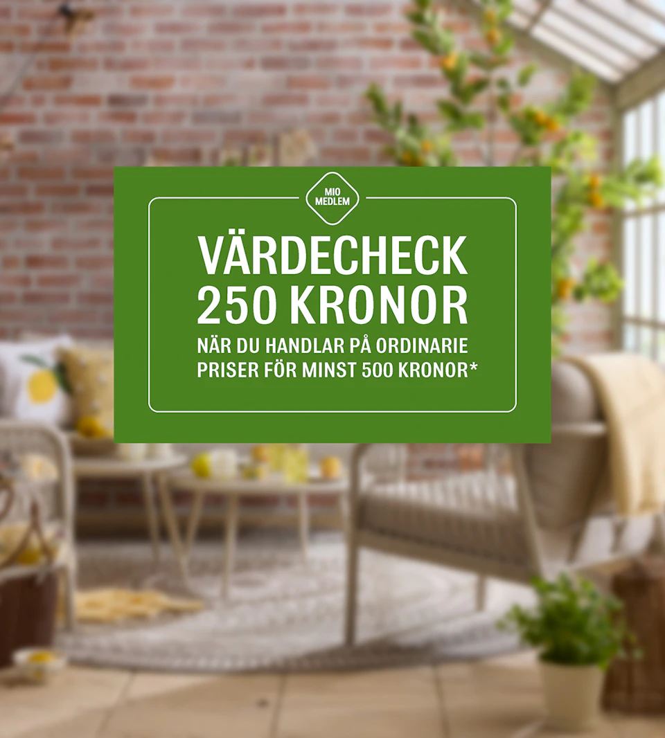 En bild som visar en grön värdecheck där kunden får 250 kronor när den handlar för 500.