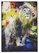 Colour Lion