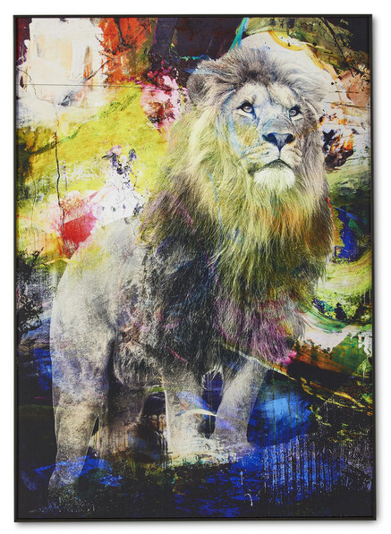 Colour Lion - Tavla, 50x70 cm - Gul