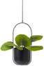 Plant - Kruka, H 32 cm - Svart