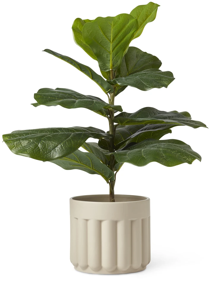 Molly - Kruka, Ø 18,5, H 16 cm - Beige
