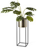 Flori - Kruka, B 24, H 66,5 cm - Svart