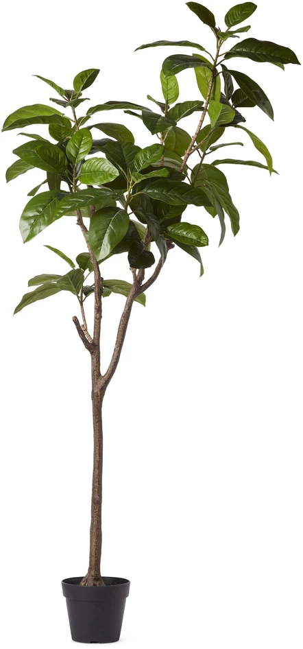 Fikus Träd - Konstväxt i kruka, H 146 Ø 75 cm - Grön