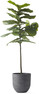 Linnea - Kruka, Ø 26, H 25,5 cm - Grå