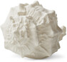 Shell - Utebordslampa, B36 H29 cm - Vit