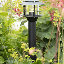 Garden 24 - Pollare, H 45,5 cm - inspiration