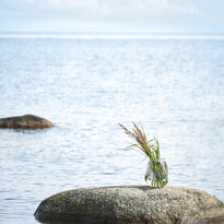 Judy - Vas, H 25 cm - inspiration