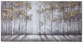Tree Shadows