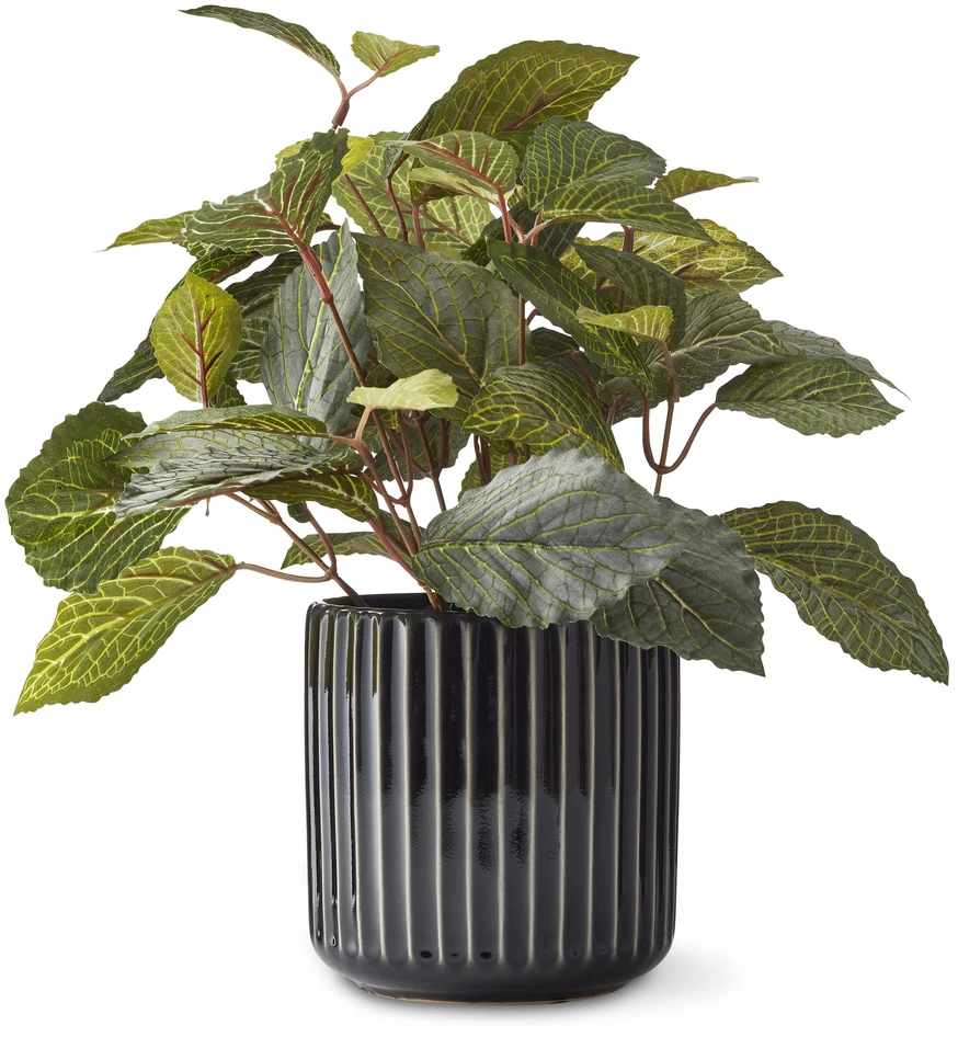 Fanny - Kruka, Ø13,5, H14 cm - Svart