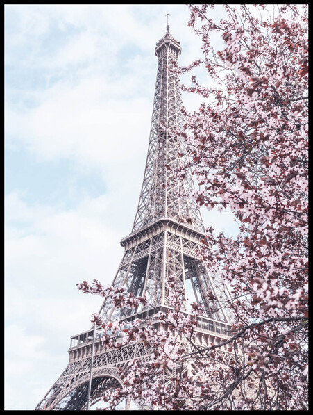 Blommor vid Eiffeltorn - Poster - Rosa