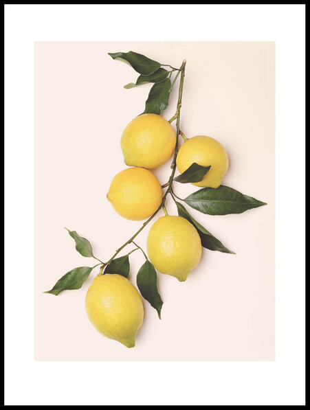 Citroner - Poster - Gul