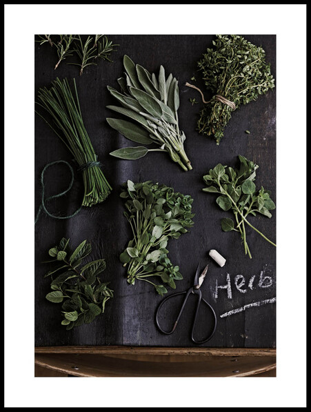 Färska örter - Poster - Grön