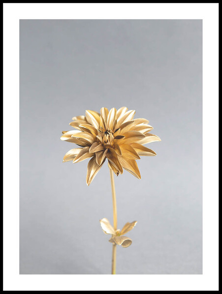 Guld blomma - Poster - Grå