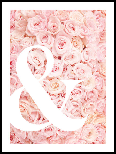 & - Poster - Rosa