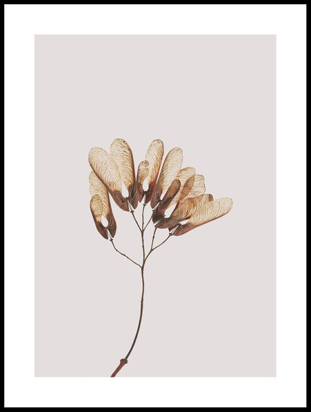 Skir - Poster - Beige