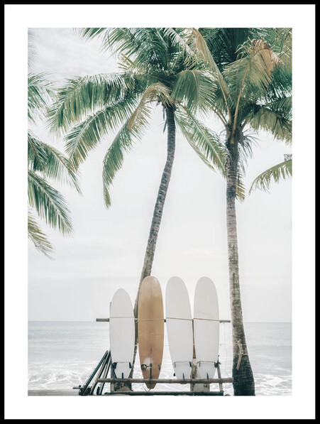Surfbrädor - Poster - Grå
