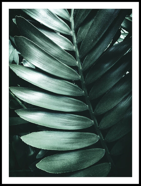 Tropiska blad - Poster - Grön