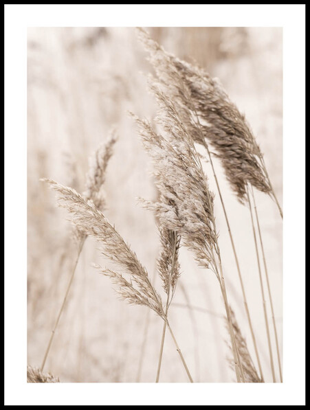 Vintervass - Poster - Beige