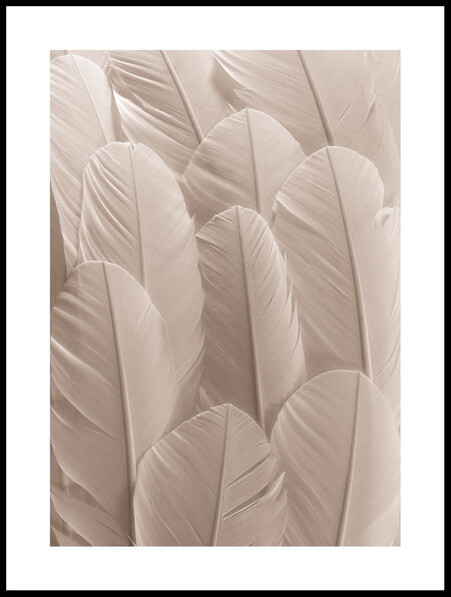 Vita fjädrar - Poster - Beige