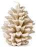 Kotte - Ljus, H 13,3 cm, brinntid 13 h - Brun