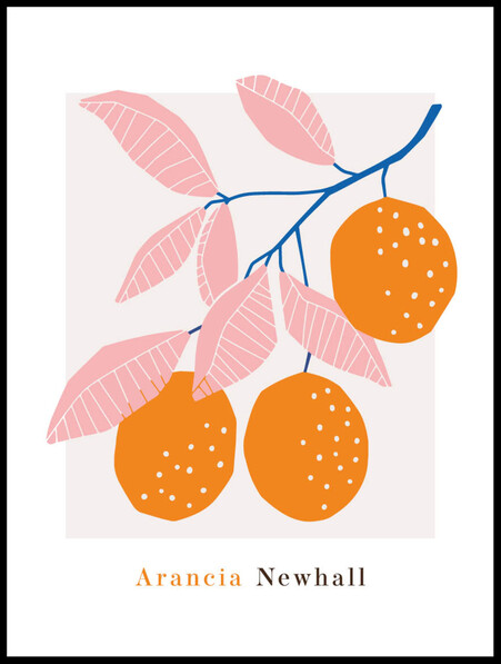 Arancia Newhall  - Poster - Rosa