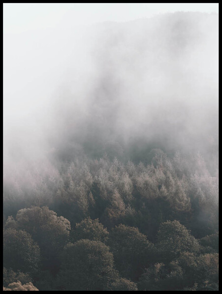 Dimma över Träden  - Poster - Svart