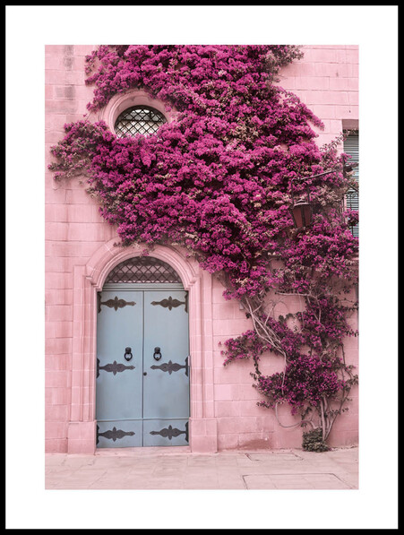En Vägg Av Rosa Blommor  - Poster - Rosa