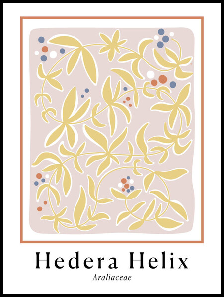Hedera Helix Pink  - Poster - Rosa