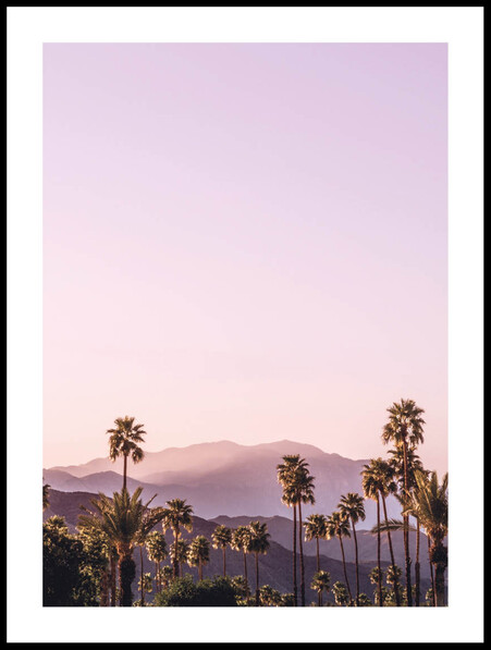 Palm Springs Landskap - Poster - Rosa