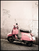 Rosa Vespa 