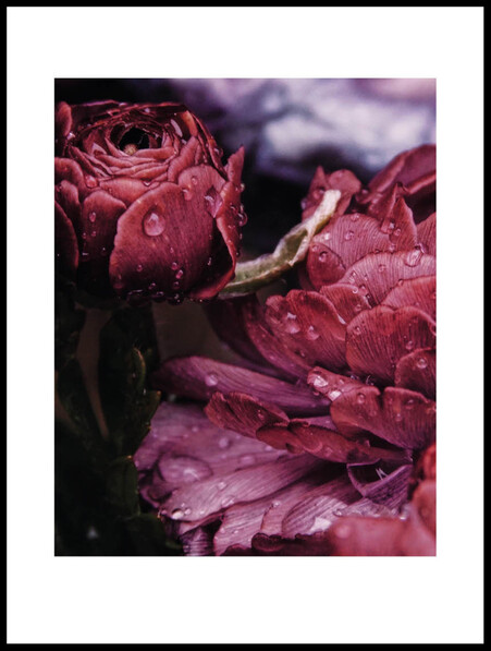 Vacker Natur - Poster - Lila