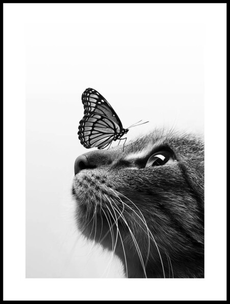 En Fjäril På Nosen  - Poster - Vit
